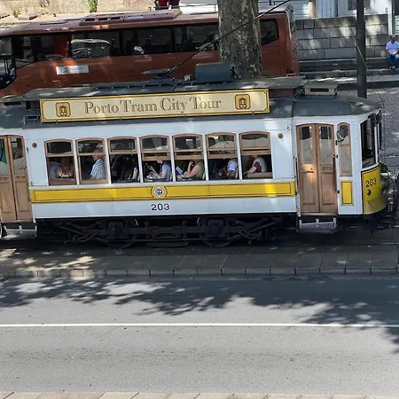 Orchidee Canedo (Aveiro)