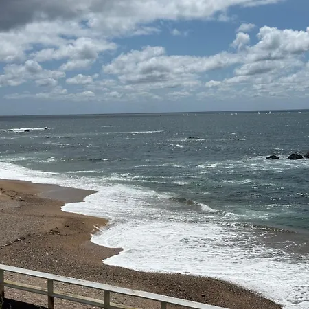 아파트 Orchidee *