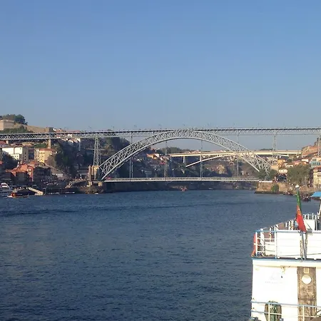 Orchidee * Canedo (Aveiro)