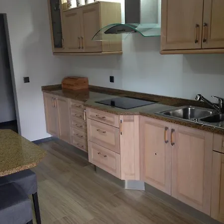 Orchidee Canedo (Aveiro)