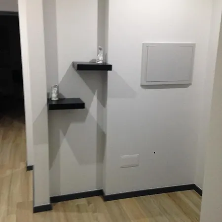 Orchidee Canedo (Aveiro)