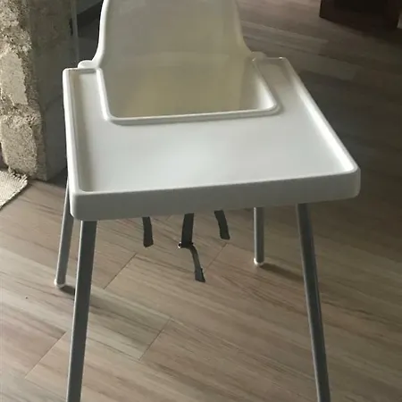 Orchidee * Canedo (Aveiro)