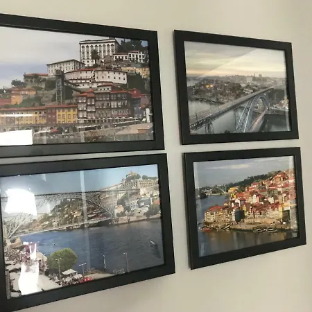 Orchidee * Canedo (Aveiro)