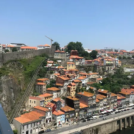 Orchidee * Canedo (Aveiro)