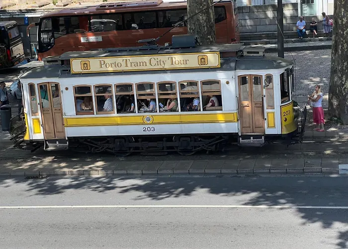 Orchidee Canedo (Aveiro)