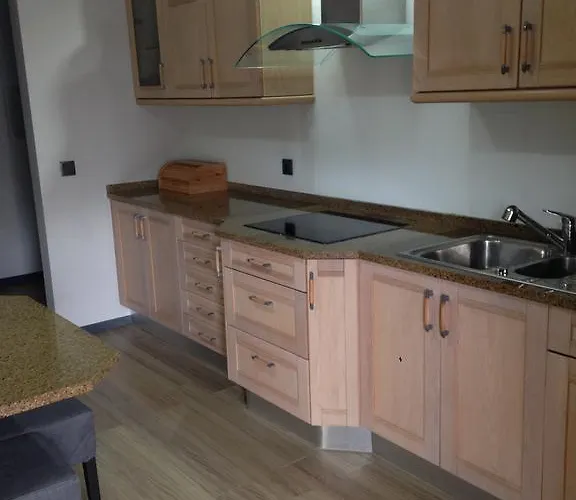 Orchidee Canedo (Aveiro)