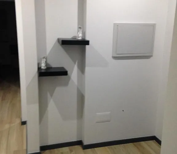 Orchidee Canedo (Aveiro)