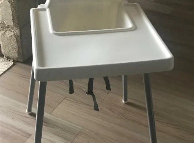 Orchidee * Canedo (Aveiro)