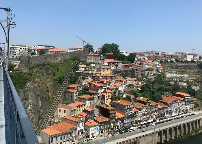 Orchidee * Canedo (Aveiro)