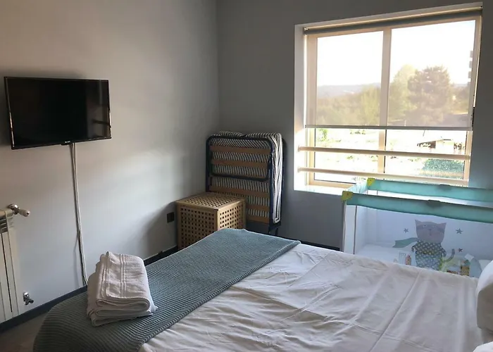 Orchidee * Canedo (Aveiro)